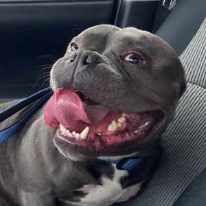 Meet your Posher, Ian